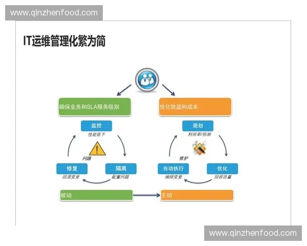 新时代体育管理体系创新与治理能力现代化路径研究实践探索与发展战略