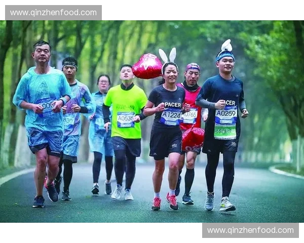 以体育赛事分类为核心的多维体系构建与应用研究新视角探索路径