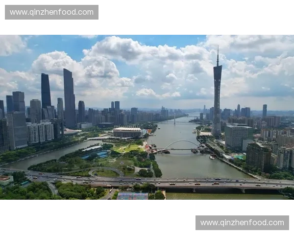 大型体育赛事对城市经济社会文化综合影响与可持续发展路径分析