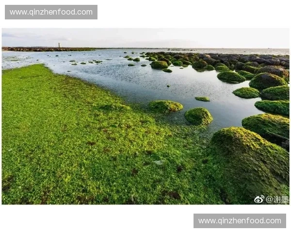 绝境边缘的最后一刻，真相悄然揭开人心深处秘密
